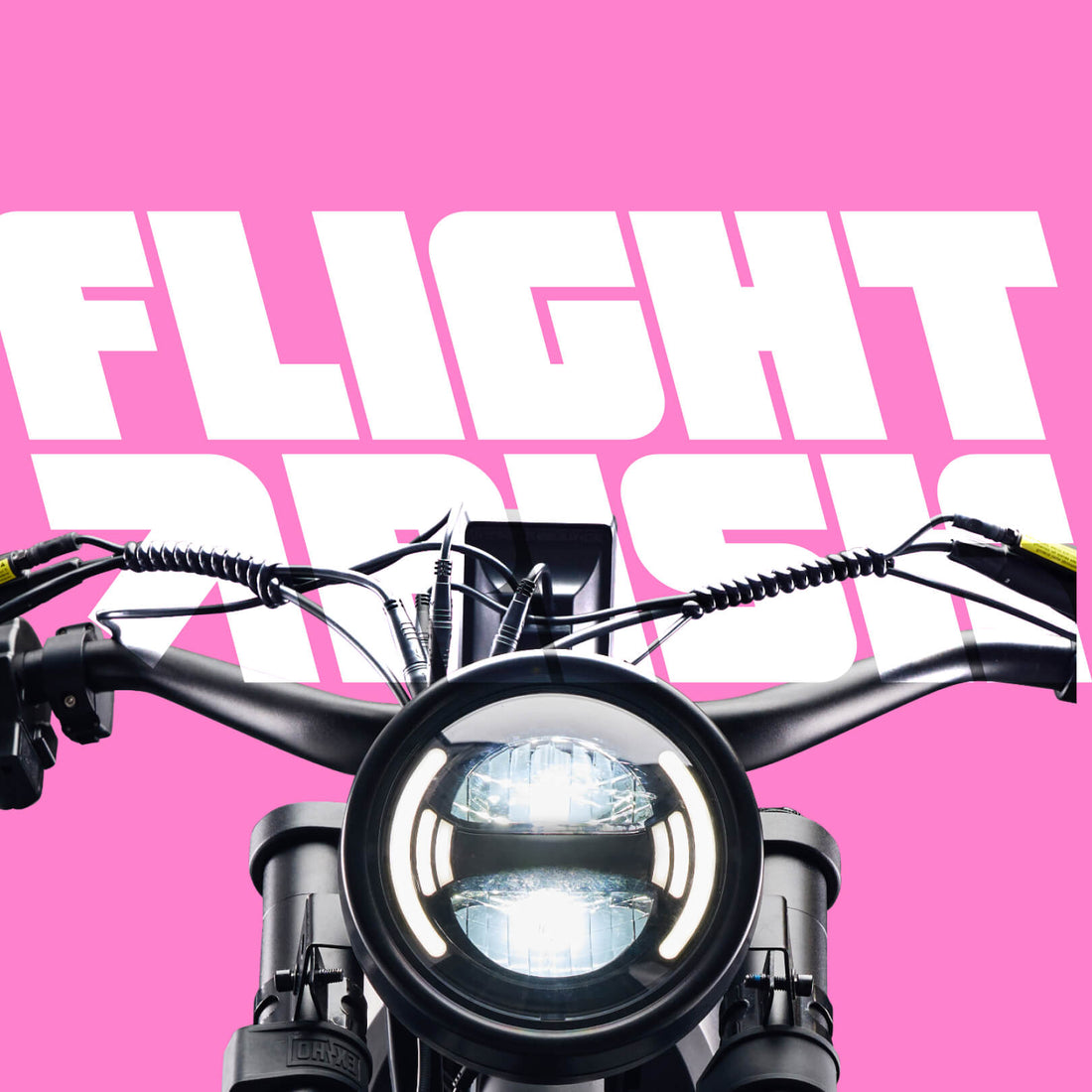 Flight Risk