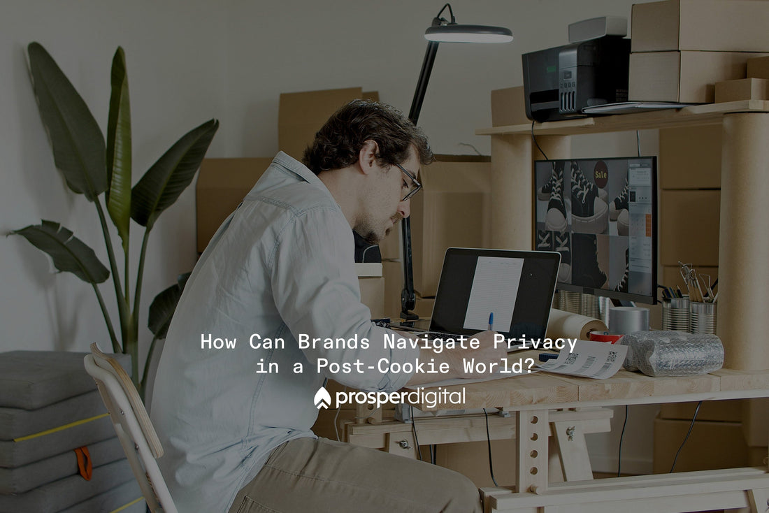 Privacy-First eCommerce: First-Party Data Strategies for 2025